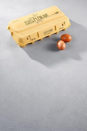 Les 10 Œufs plein air