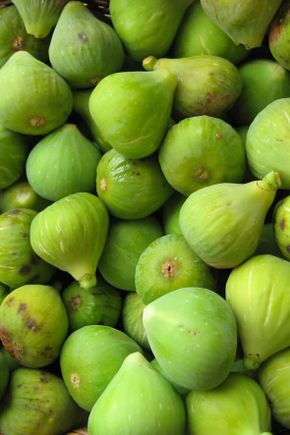 La Figue Verte
