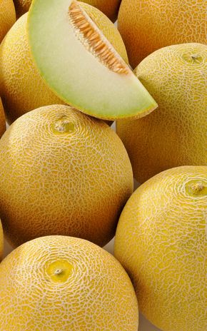 Le Melon galia