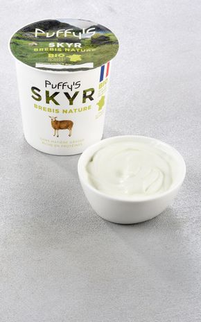 Le Skyr brebis BIO